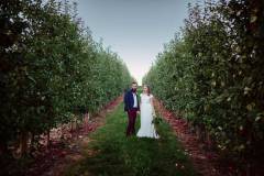 In the Orchard