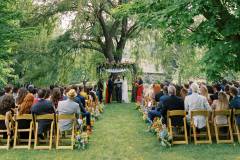 Willow Tree