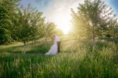 In the Orchard