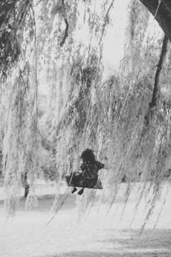 Willow Tree Swing